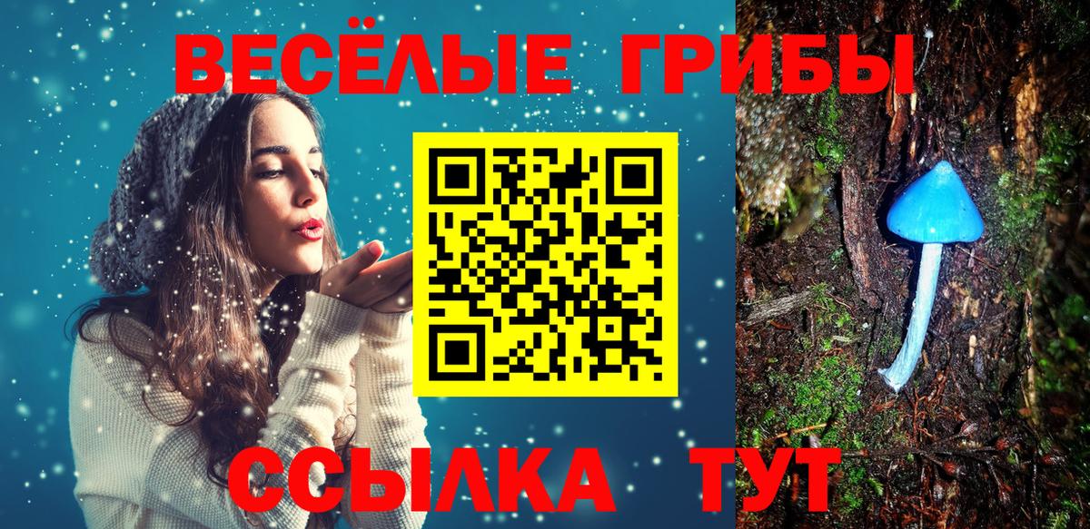 Псилоцибиновые грибы Cubensis  Вход с VPN  Ханты-Мансийск 