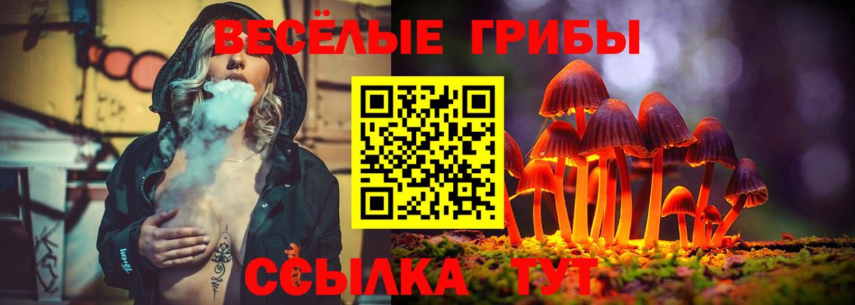 Псилоцибиновые грибы Psilocybine cubensis Ханты-Мансийск